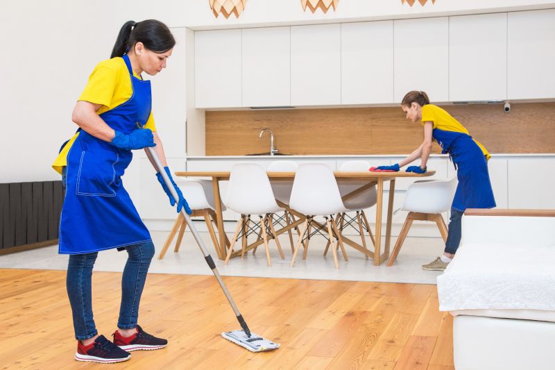 Reo Property Cleaning in Renton, WA